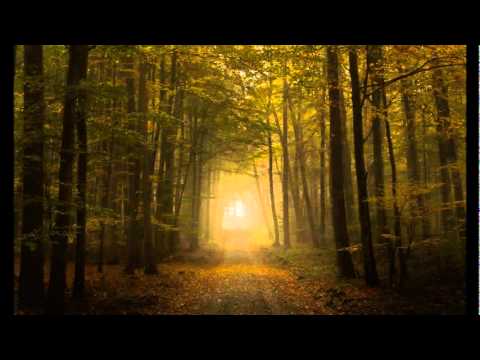 Abadan Halmedova - Dön Gel Bir Tanem