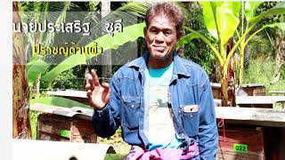 “สร้างรายได้ให้มั่นคง เสริมชุมชนให้เข้มแข็ง” ประจวบคีรีขันธ์ (โครงการเลี้ยงผึ้งโครง ชุมชนพงศ์ประศาสตร์ อ.บางสะพาน จ.ประจวบคีรีขันธ์)