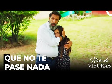 Elvan Está Baja El Custodia De Kudret - Nido De Víboras