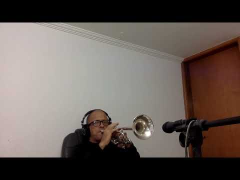 FERNANDO LOPEZ INTERPRETA O HINO 345