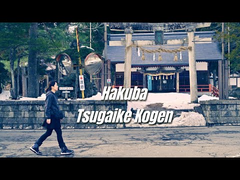 HAKUBA &amp; TSUGAIKE KOGEN 7D6N (Part 2): First Ski trip in Hakuba! Exploring, Shopping &amp; eating 🇯🇵