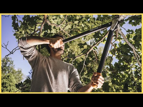 Coupe-branches Fiskars : mon test complet de cet outil