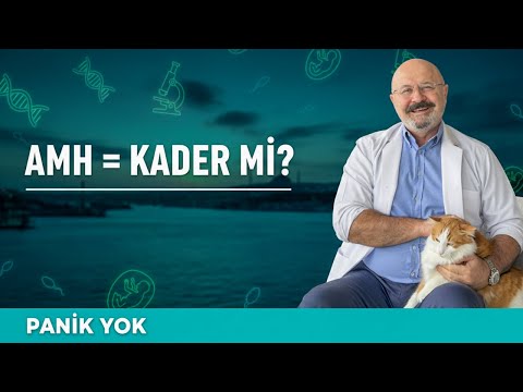 Düşük AMH ile Hamile Kalınır mı?