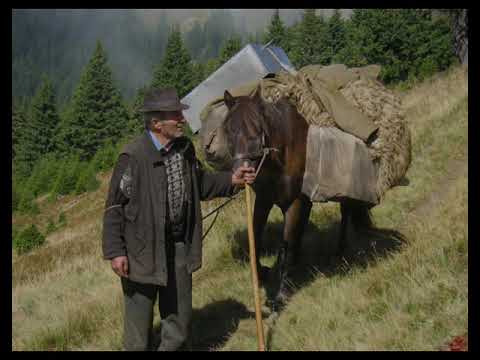 2008 Rumänien Karpaten Drum Bun