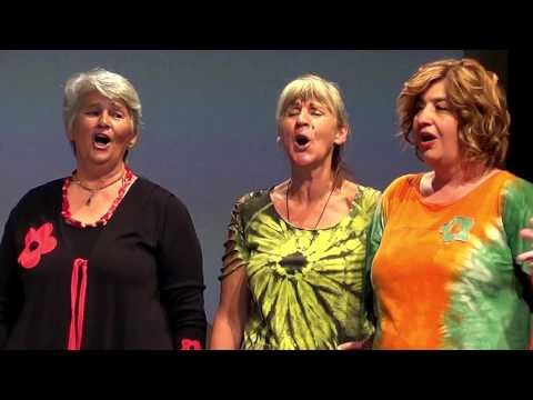 PD Marjan - Jidri pere, ide u Kaštila (dalmatinska narodna)