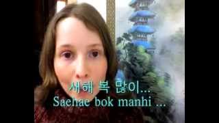 Lunar New Year 2009~How to say "Happy New Year" in Korean. 외국인이 한국어를 가르쳐요.