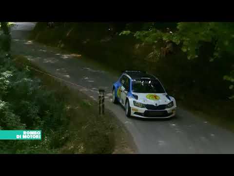 Michelini trionfa al Città di Lucca; il pilota lucchese cala la decima