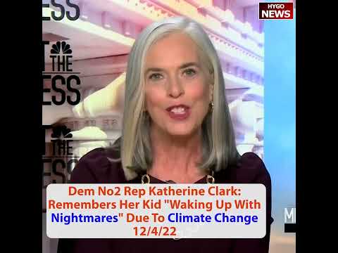 Incoming House Democrat Leader No1 or Whip No2 or No3 Caucus Chairman