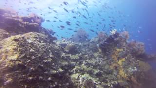 preview picture of video 'Diving in the Yasawas in HD, Fiji - Travel in 10 Podcast'