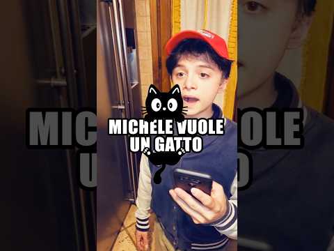 Michele wants a cat 🐈‍⬛