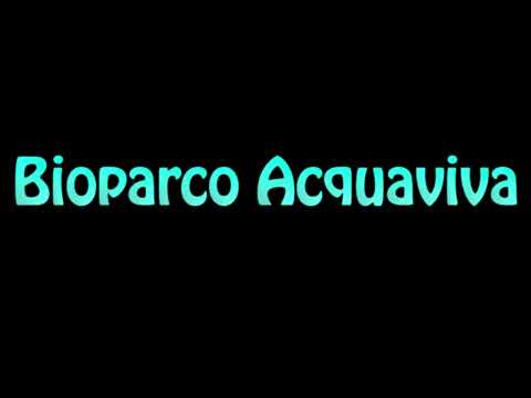 Learn How To Pronounce Bioparco Acquaviva