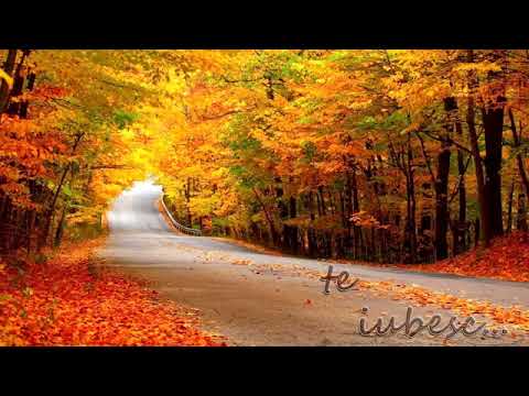 Prut   я брошу жизнь к твоим Ногам