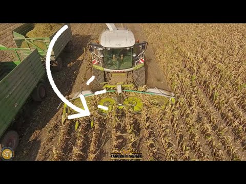 WAHNSINN Das ist die Schlimmste Maisernte 2020 (Trockenheit zerstört Mais) 😢 1 Häckselkette