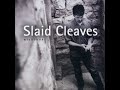 New Year's Day by Slaid Cleaves