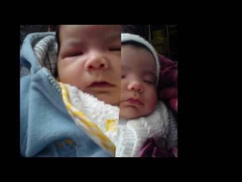 silvana marin gallardo -  benjamin