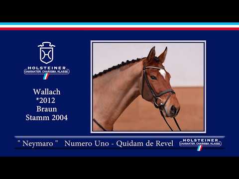 129 | Neymaro v. Numero Uno - Quidam de Revel