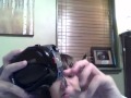 Samsung Video Camera