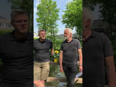 Politik verstehen leicht gemacht: Der Unterschied zwischen Partei und Fraktion