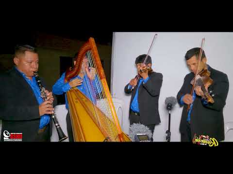 Orquesta REVELACIÓN MARCA ❤️ - Cuarteto