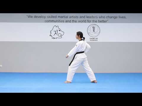 2. Right Hand pattern back tutorial click Closed Captions ("CC") for step by step instructions