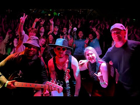 Festival cut Tradicional Preferente