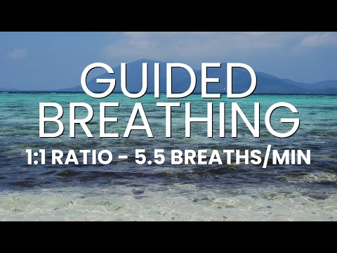 Coherent Breathing — 5.5 Breaths Per Minute (1:1 Ratio)