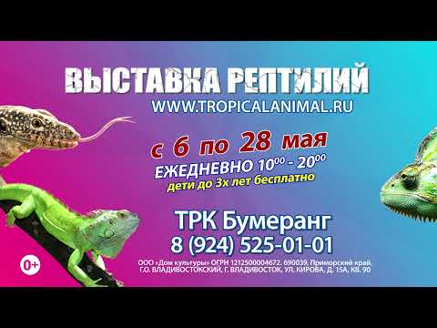 Выставка Рептилий в Новом Уренгое