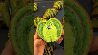 oq ele quis dizer? 😱🤣