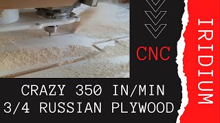 DECOUPE DE PLYWOOD RUSSE 3/4