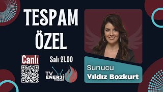 TESPAM Özel #8 | Avrupa’da Elektrik Krizi: İspanya ve Portekiz Neden K