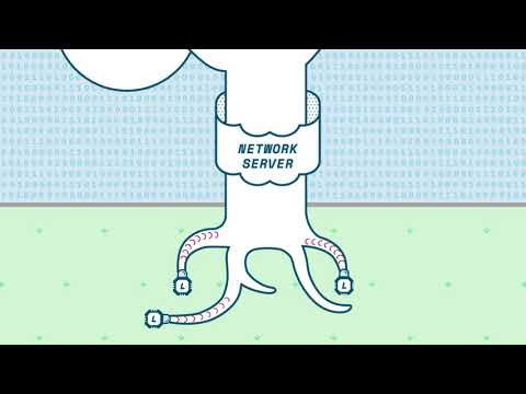 Il network server : il cuore di una rete LoRa