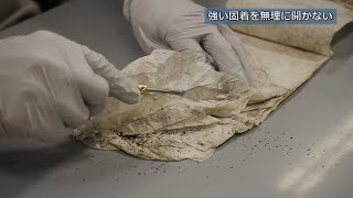 文化財防災マニュアル ~汚損紙資料のクリーニング処置例~