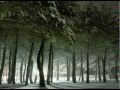 The Cure - A Forest 