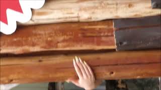 Kanae, Kazue, Haruka, Junon, Chiaki, Harachan, JENNY, Miyabi, CYBERJAPAN DANCERS, SUMMERLAND IDOL