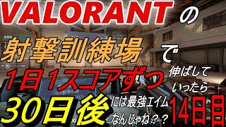 【VALORANT】の射撃訓練場で１日１スコアずつ伸ばしていったら３０日後には最強エイムなんじゃね？？？　＃14日目