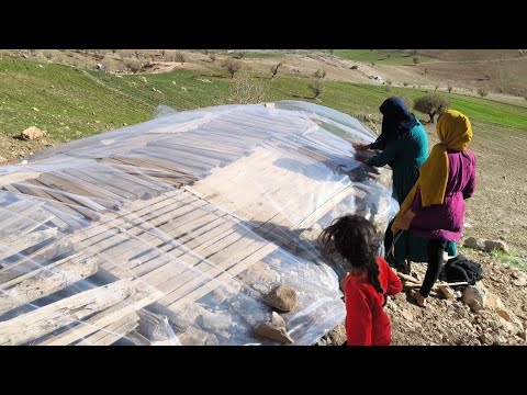 "Boards and Pastels: Away and Still, Z's Fut"