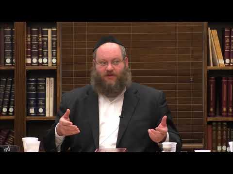 Tanya Review and Overview Chapters 27 Part 2-28 (Chanukah) - Rabbi Naftali Silberberg