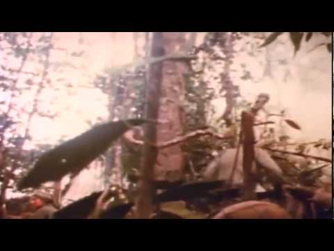 Dear America: Letters Home from Vietnam, Clip 02