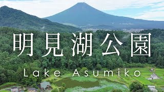 富士山と紫陽花 富士吉田市 明見湖公園 /  Hydrangea at Lake Asumiko in Yamanashi, Japan