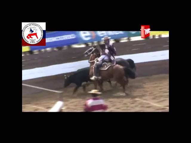 CLASIFICATORIO METROPOLITANO SUR FENARO MELIPILLA 2015 Youtube VideoCLASIFICATORIO METROPOLITANO SUR FENARO MELIPILLA 2015