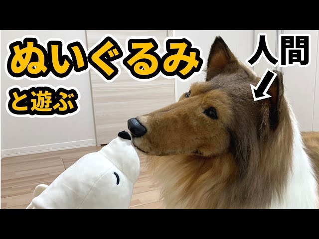 Japanese Man Spends 2 Million Yen On Ultra realistic Dog Costume So He 