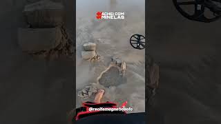 5 de dezembro de 2025