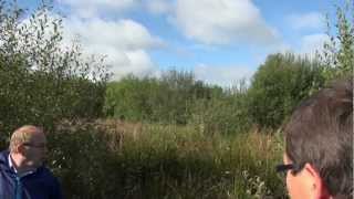 Återställning av mossmark Irland