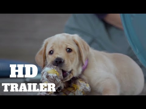 Pick of the Litter Trailer #1 (2018)