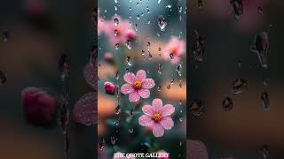 Download lagu Everything in this world 🌍 is temporary #dj #duet #quotes mp3 Download lagu Everything in this world 🌍 is temporary #dj #duet #quotes mp3
