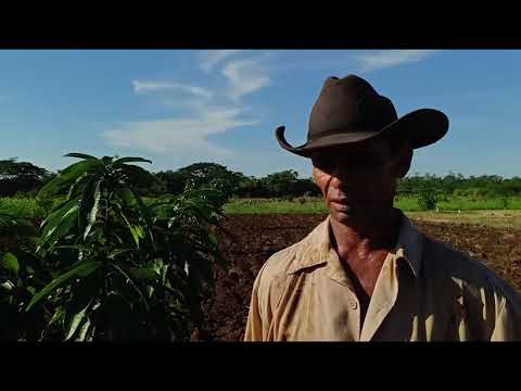 IRES, una apuesta por la agricultura resiliente y la transformación paisajística en Jobabo