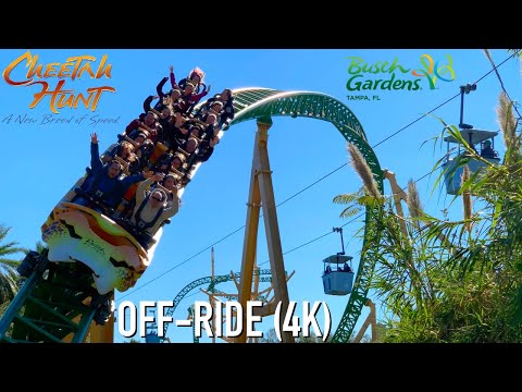 Off-ride footage of a Cheetah Hunt train
