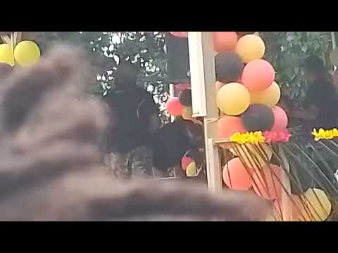 Elbig Raingz ft Narxson live