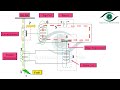 Trip circuit of Circuit Breaker Explained with Animation_Switchgear & protection
