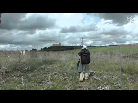 Camino de Levante 2012 (1): (Valencia - Toledo) - Torrijos - Almorox